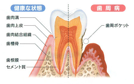 概説