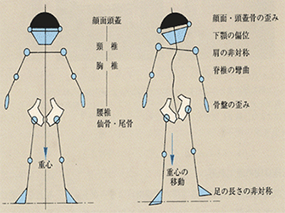 シーラシステム